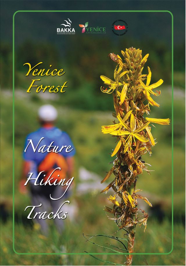 Yenice Forests Nature Hiking Tracks 
